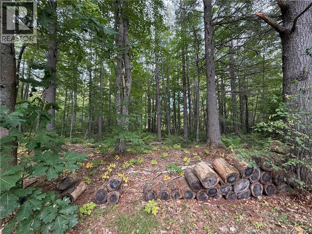 Lot 6 Pine Grove Lane, Jemseg, New Brunswick  E4C 4L7 - Photo 19 - NB148103