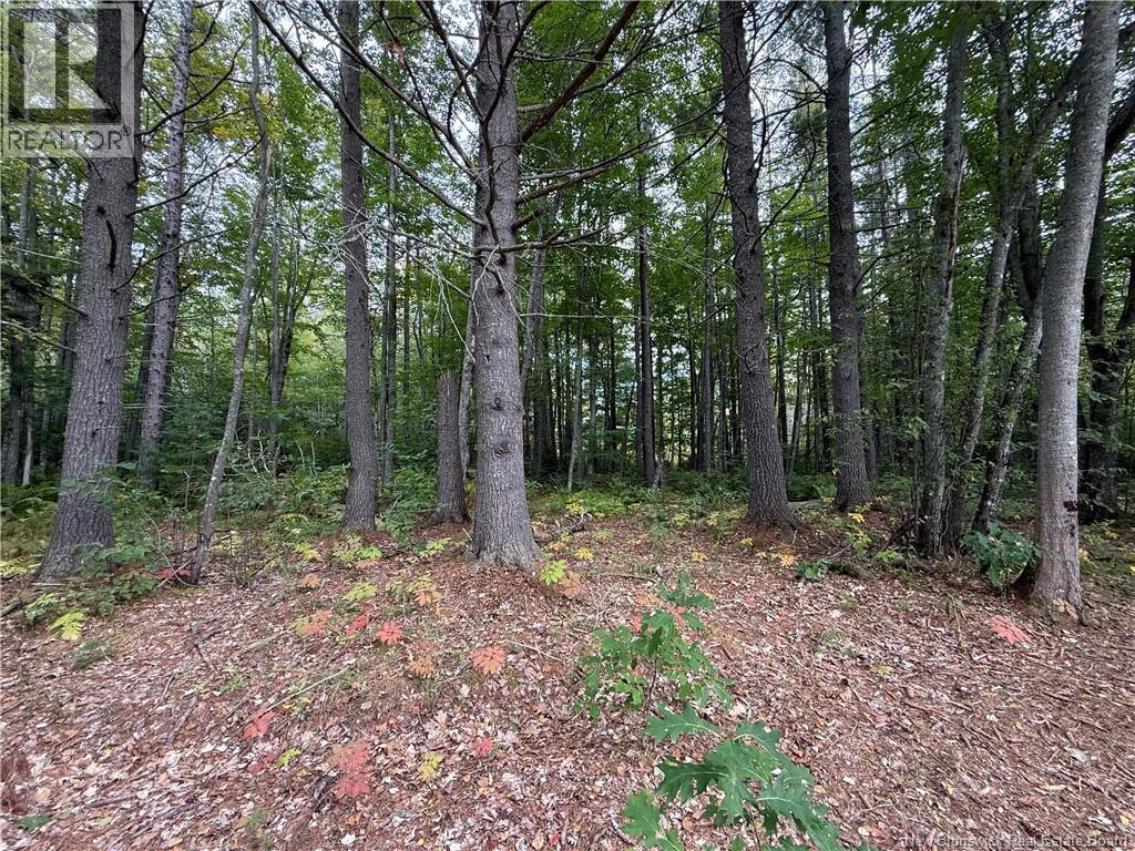 Lot 6 Pine Grove Lane, Jemseg, New Brunswick  E4C 4L7 - Photo 20 - NB148103