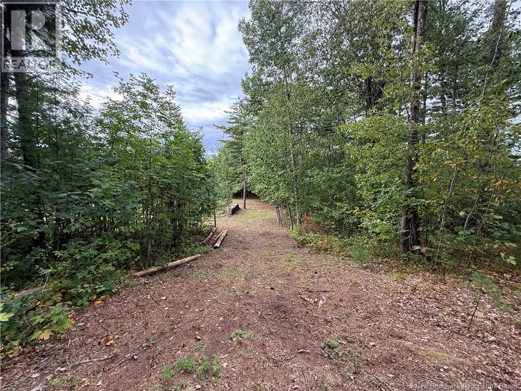 Lot 6 Pine Grove Lane, Jemseg, New Brunswick  E4C 4L7 - Photo 21 - NB148103