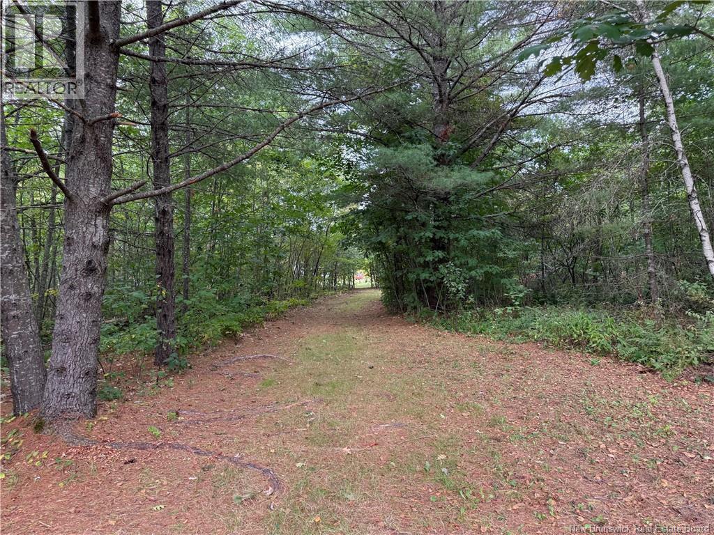 Lot 6 Pine Grove Lane, Jemseg, New Brunswick  E4C 4L7 - Photo 23 - NB148103