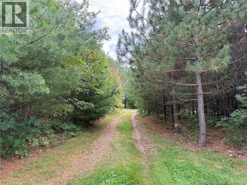 Lot 6 Pine Grove Lane, Jemseg, New Brunswick  E4C 4L7 - Photo 24 - NB148103