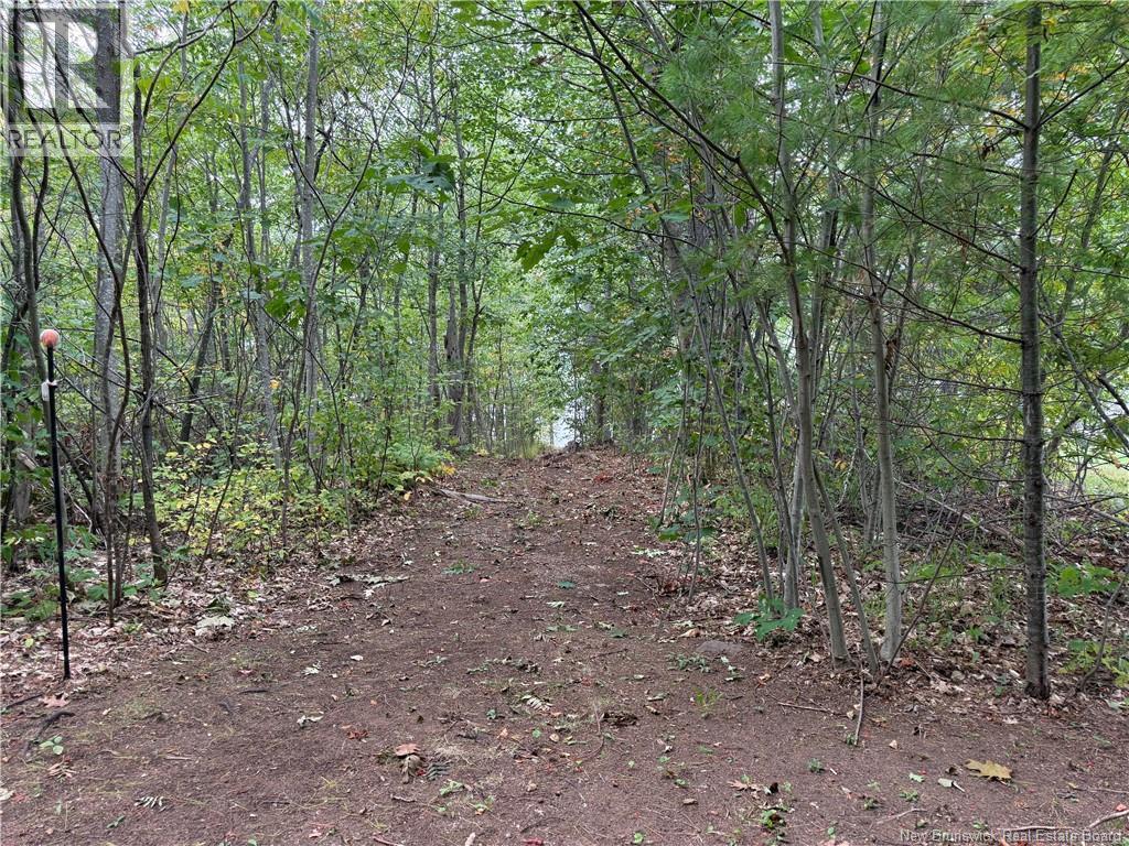 Lot 6 Pine Grove Lane, Jemseg, New Brunswick  E4C 4L7 - Photo 25 - NB148103