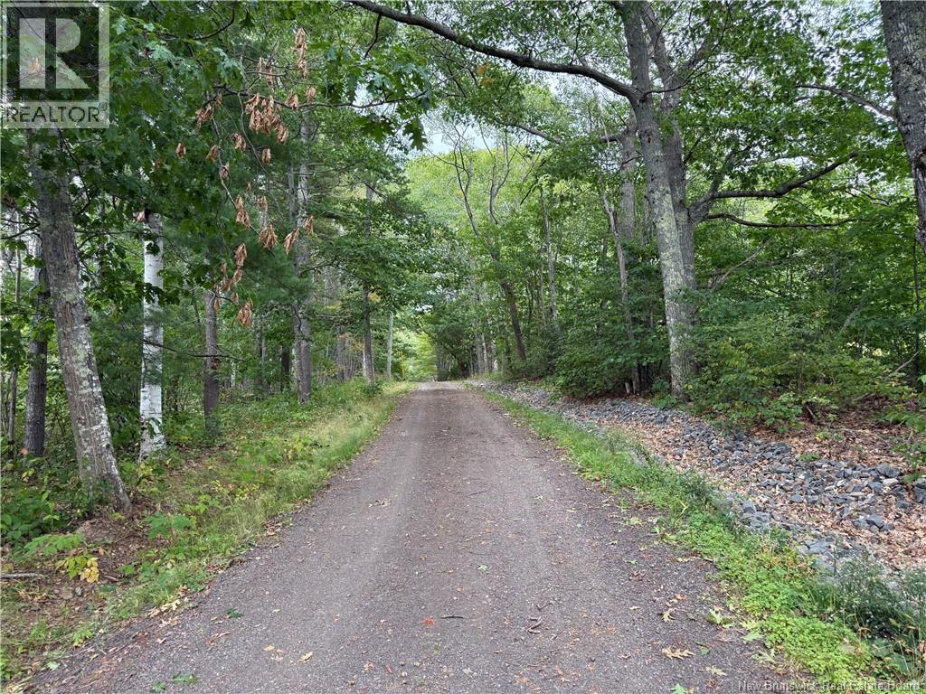 Lot 6 Pine Grove Lane, Jemseg, New Brunswick  E4C 4L7 - Photo 28 - NB148103