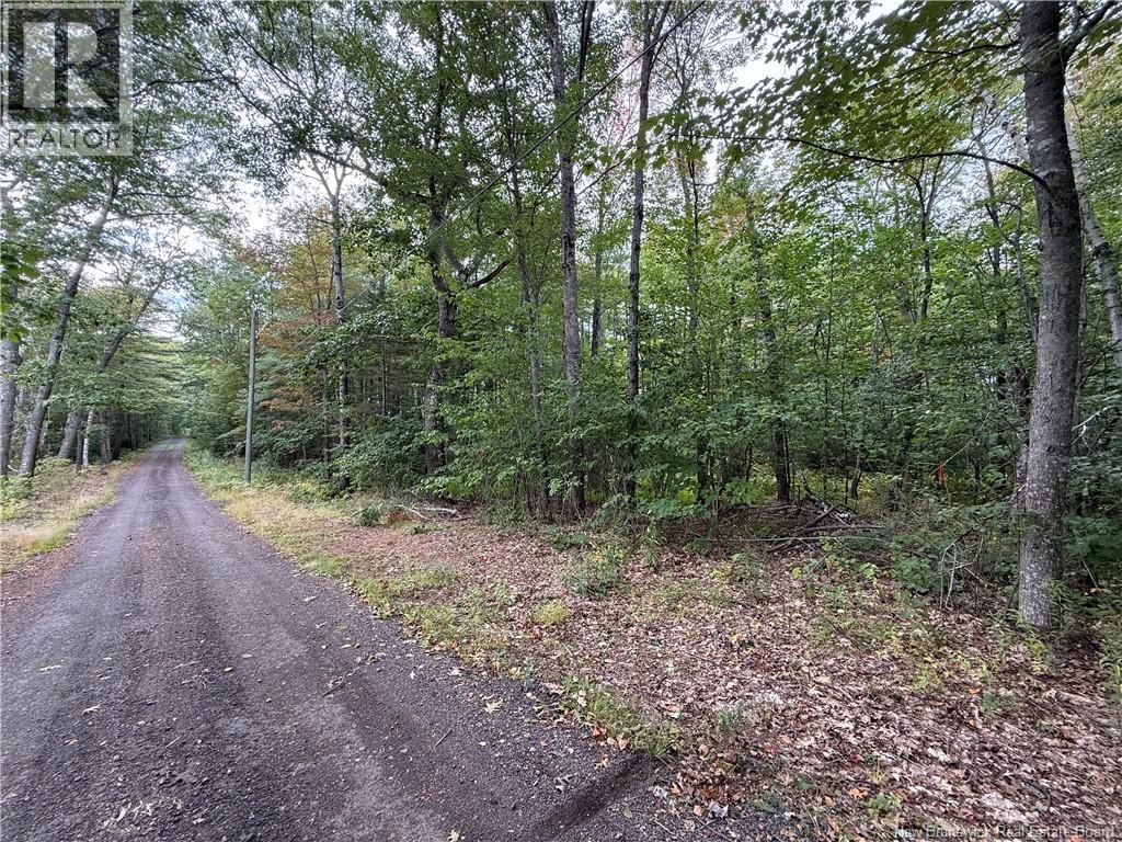 Lot 6 Pine Grove Lane, Jemseg, New Brunswick  E4C 4L7 - Photo 29 - NB148103
