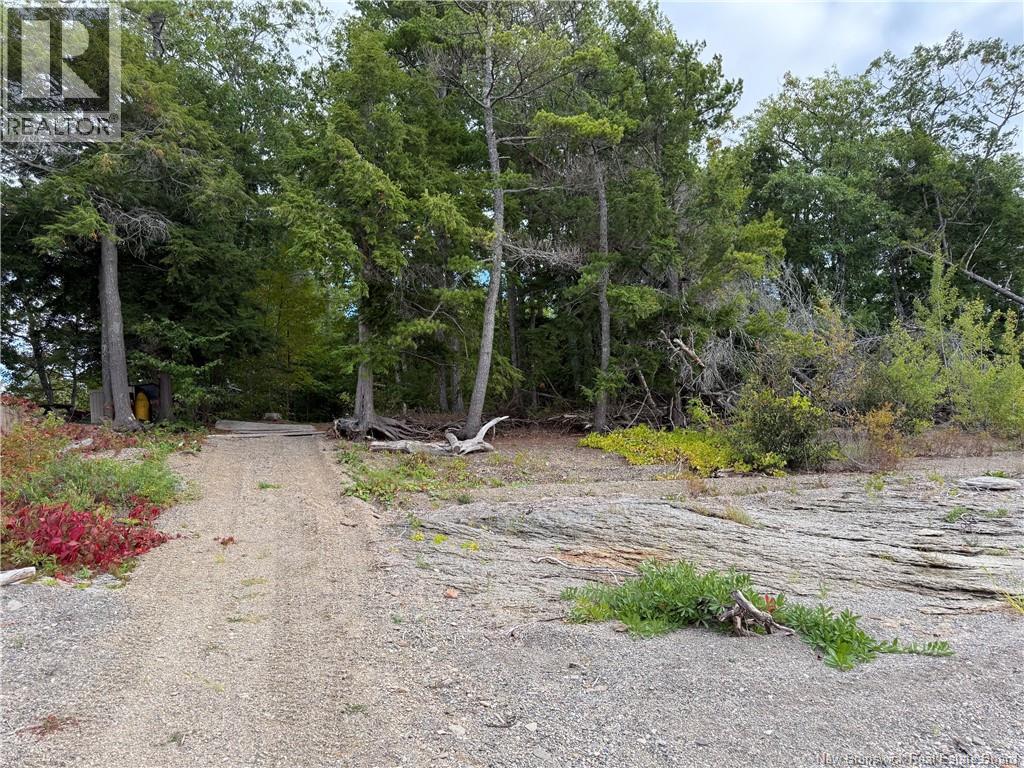 Lot 6 Pine Grove Lane, Jemseg, New Brunswick  E4C 4L7 - Photo 3 - NB148103
