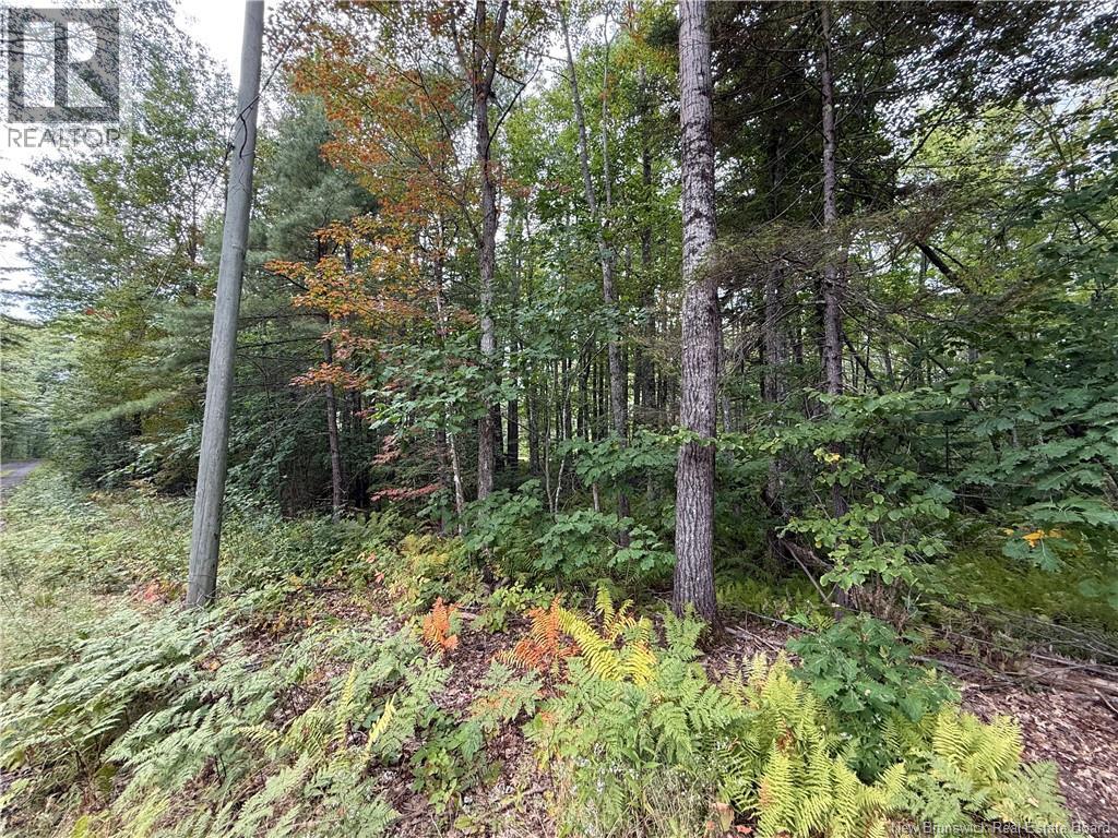 Lot 6 Pine Grove Lane, Jemseg, New Brunswick  E4C 4L7 - Photo 30 - NB148103