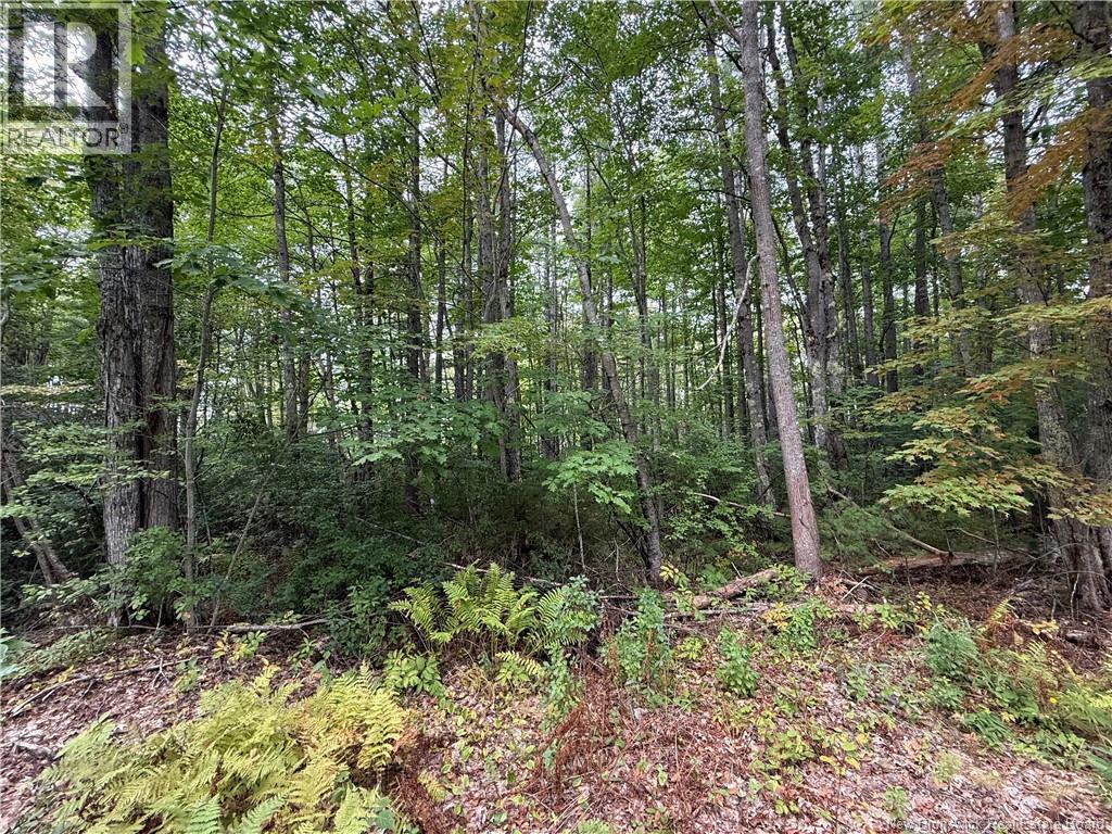 Lot 6 Pine Grove Lane, Jemseg, New Brunswick  E4C 4L7 - Photo 31 - NB148103