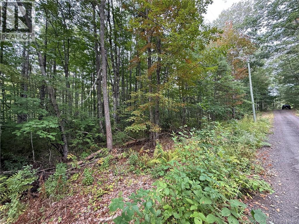Lot 6 Pine Grove Lane, Jemseg, New Brunswick  E4C 4L7 - Photo 32 - NB148103