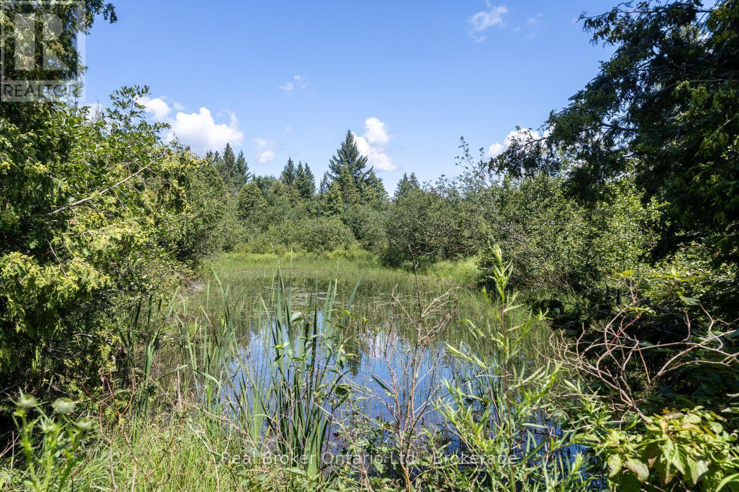 982 Porter Road, Kawartha Lakes, Ontario  L0A 1A0 - Photo 40 - X13802090