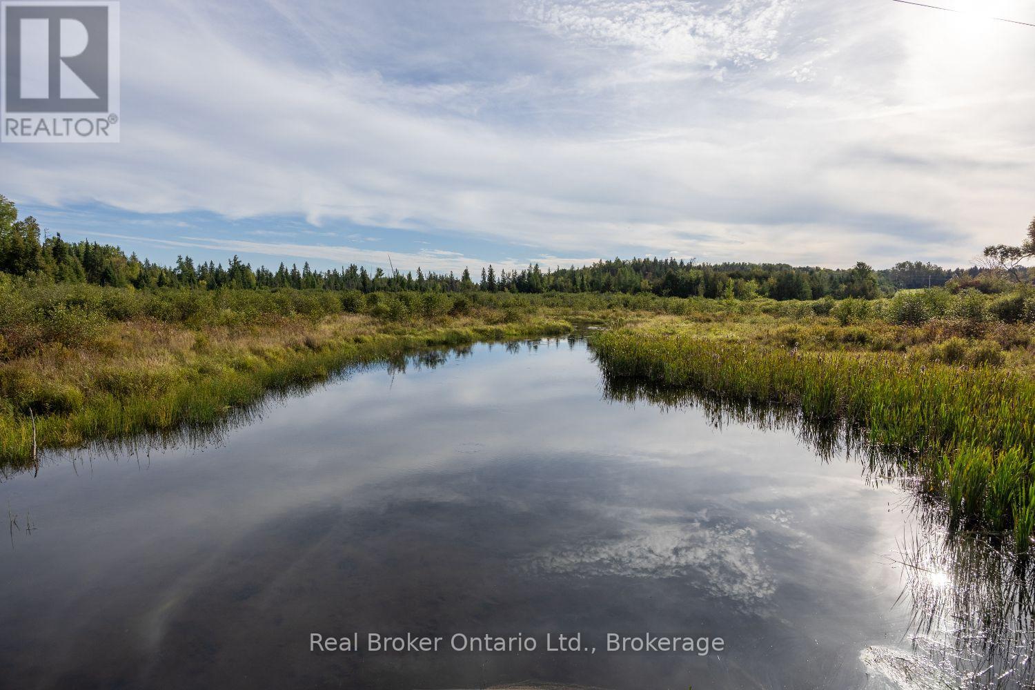 982 Porter Road, Kawartha Lakes, Ontario  L0A 1A0 - Photo 43 - X13802090