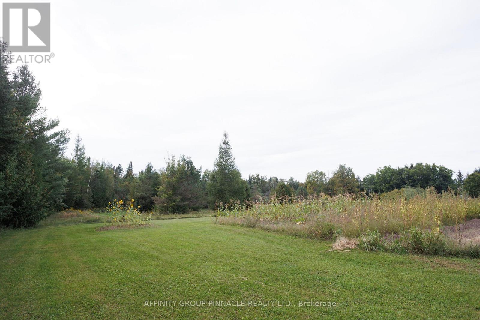17 Manvers Station Road, Kawartha Lakes, Ontario L0A 1K0 - Photo 38 - X13802116