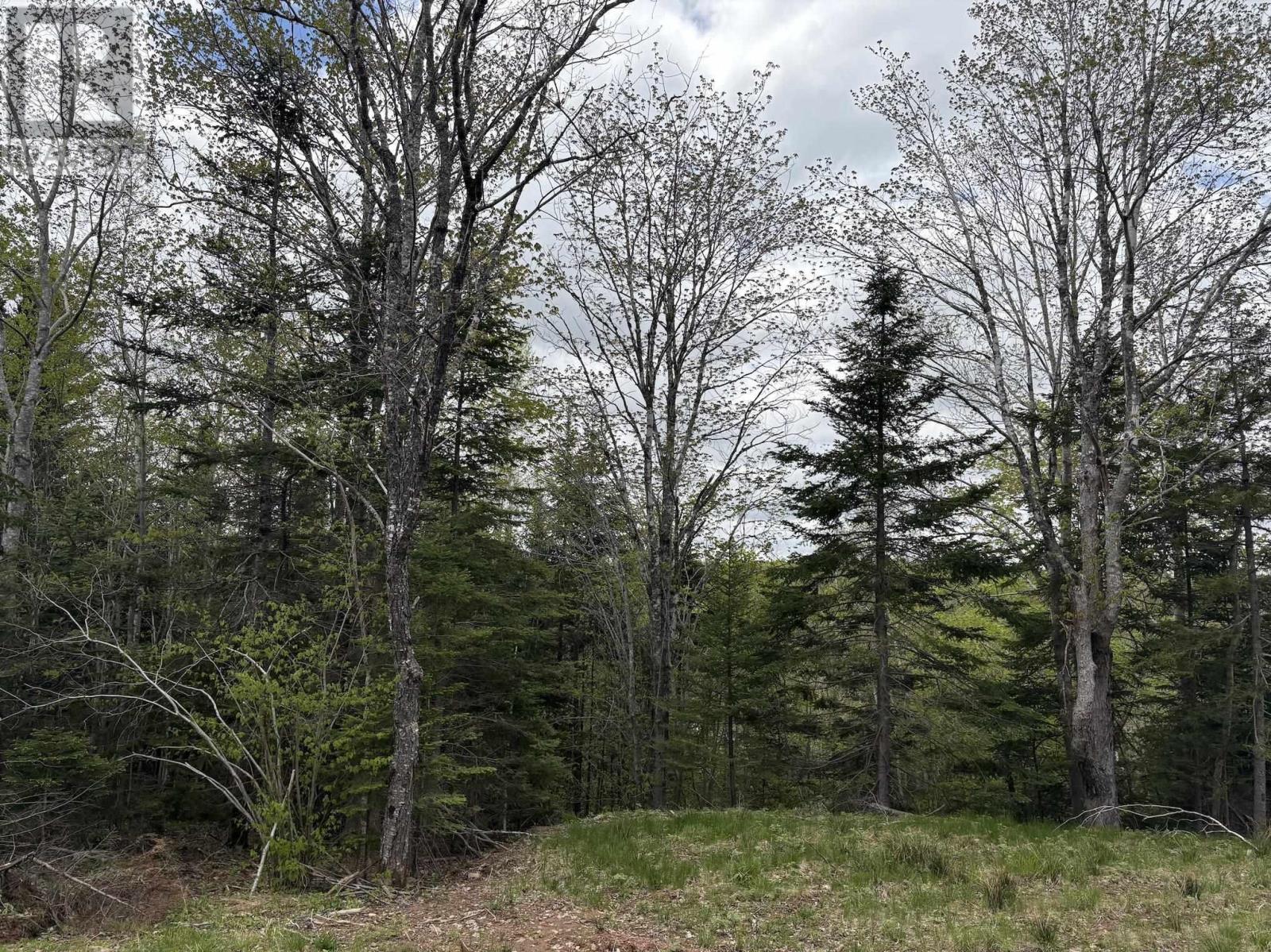 Lot 4 Highway 14, Upper Nine Mile River, Nova Scotia