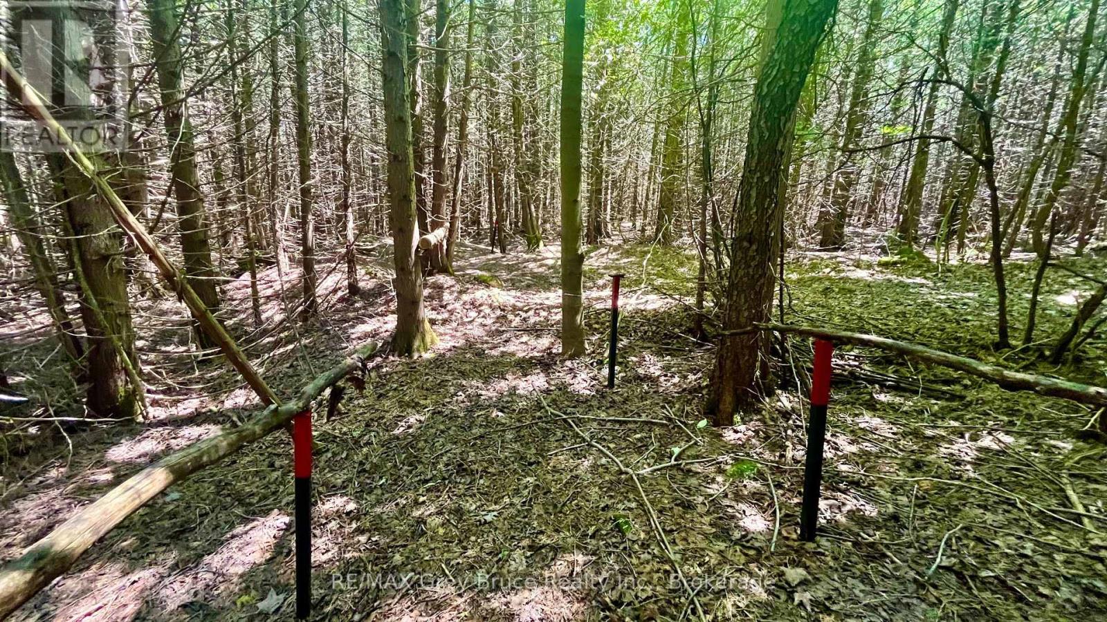 255263 1 Concession, Chatsworth, Ontario  N0H 2V0 - Photo 10 - X13802574