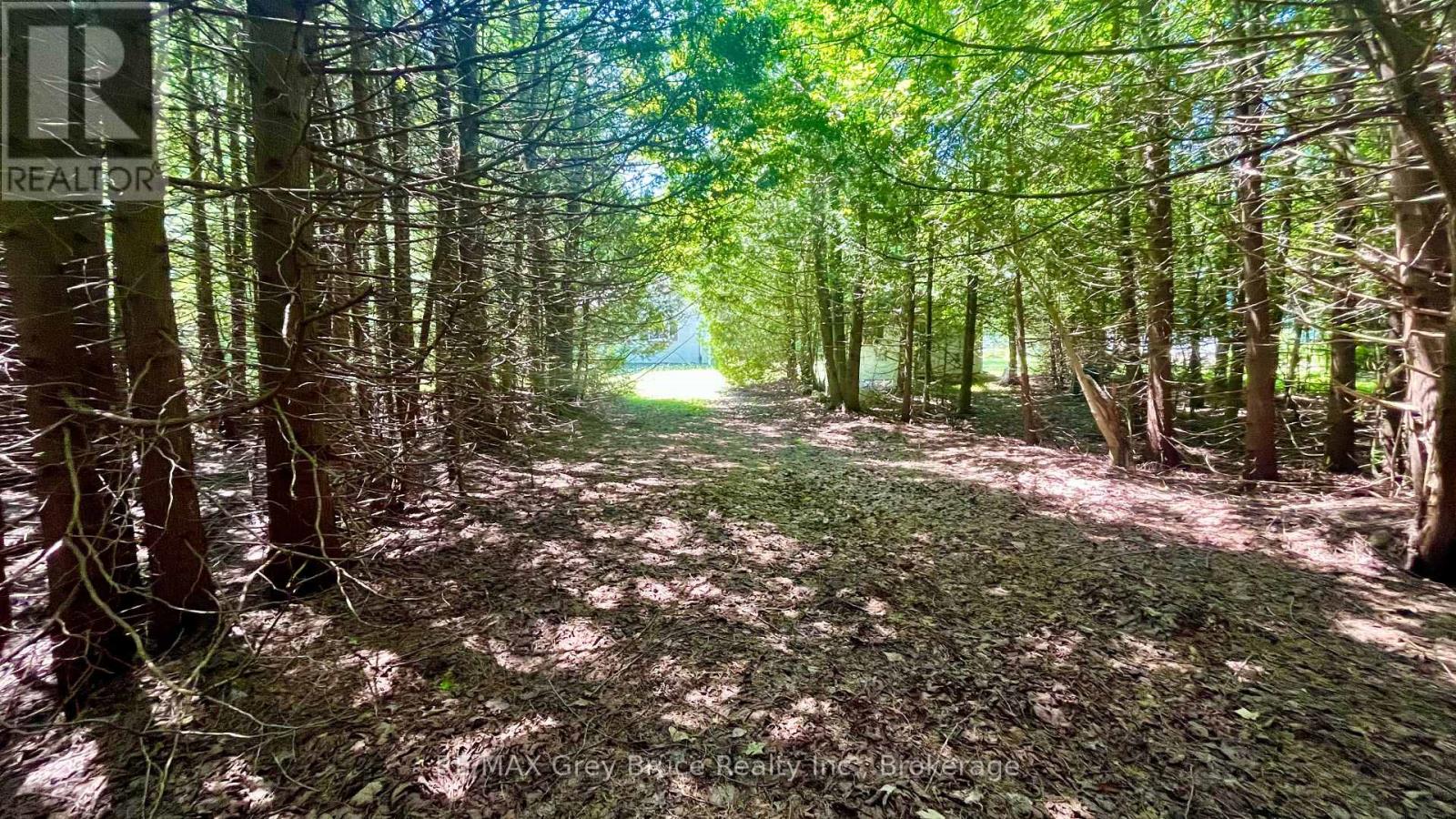 255263 1 Concession, Chatsworth, Ontario  N0H 2V0 - Photo 11 - X13802574