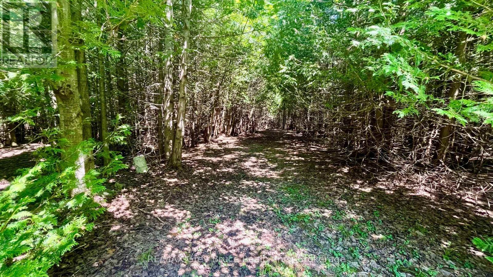 255263 1 Concession, Chatsworth, Ontario  N0H 2V0 - Photo 12 - X13802574