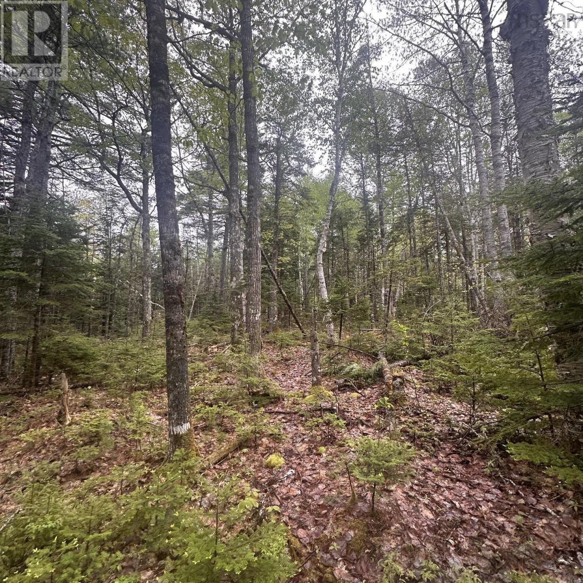 Lot 22 Moose Pit Road, Westfield, Nova Scotia