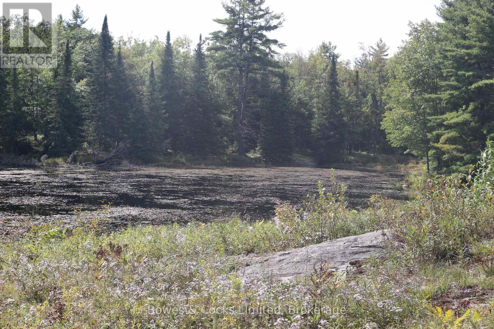 Lt 22-24 Con 1 Lake, Marmora And Lake, Ontario  K0K 2M0 - Photo 25 - X13802762