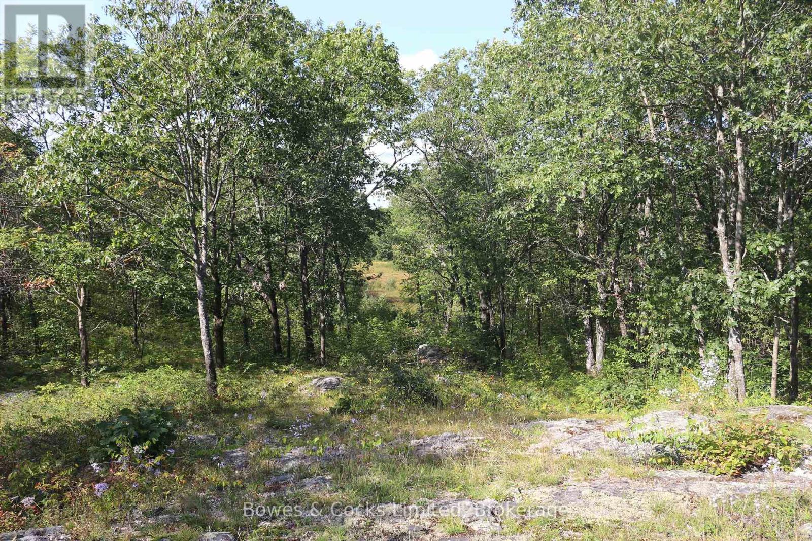 Lt 22-24 Con 1 Lake, Marmora And Lake, Ontario  K0K 2M0 - Photo 43 - X13802762