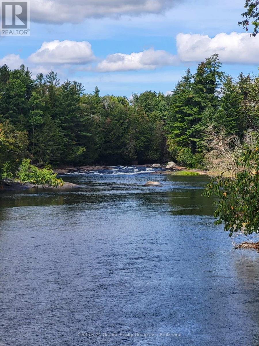 58 Winchester Drive, Kawartha Lakes, Ontario  K0M 1C0 - Photo 40 - X13802744