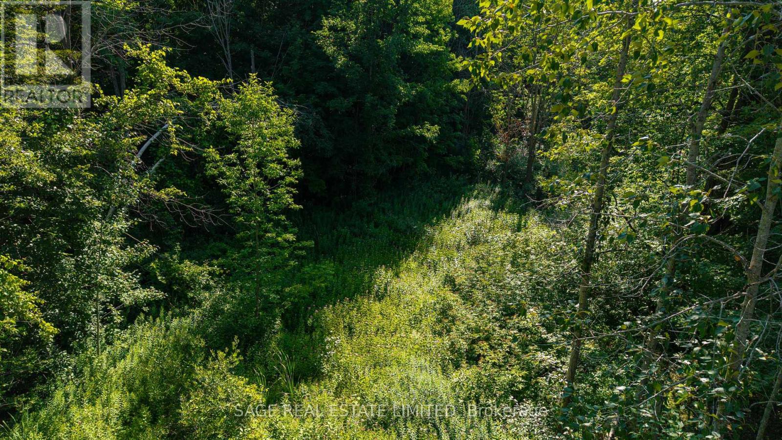 7632 County 9 Road, Clearview, Ontario  L0M 1G0 - Photo 50 - S13798764