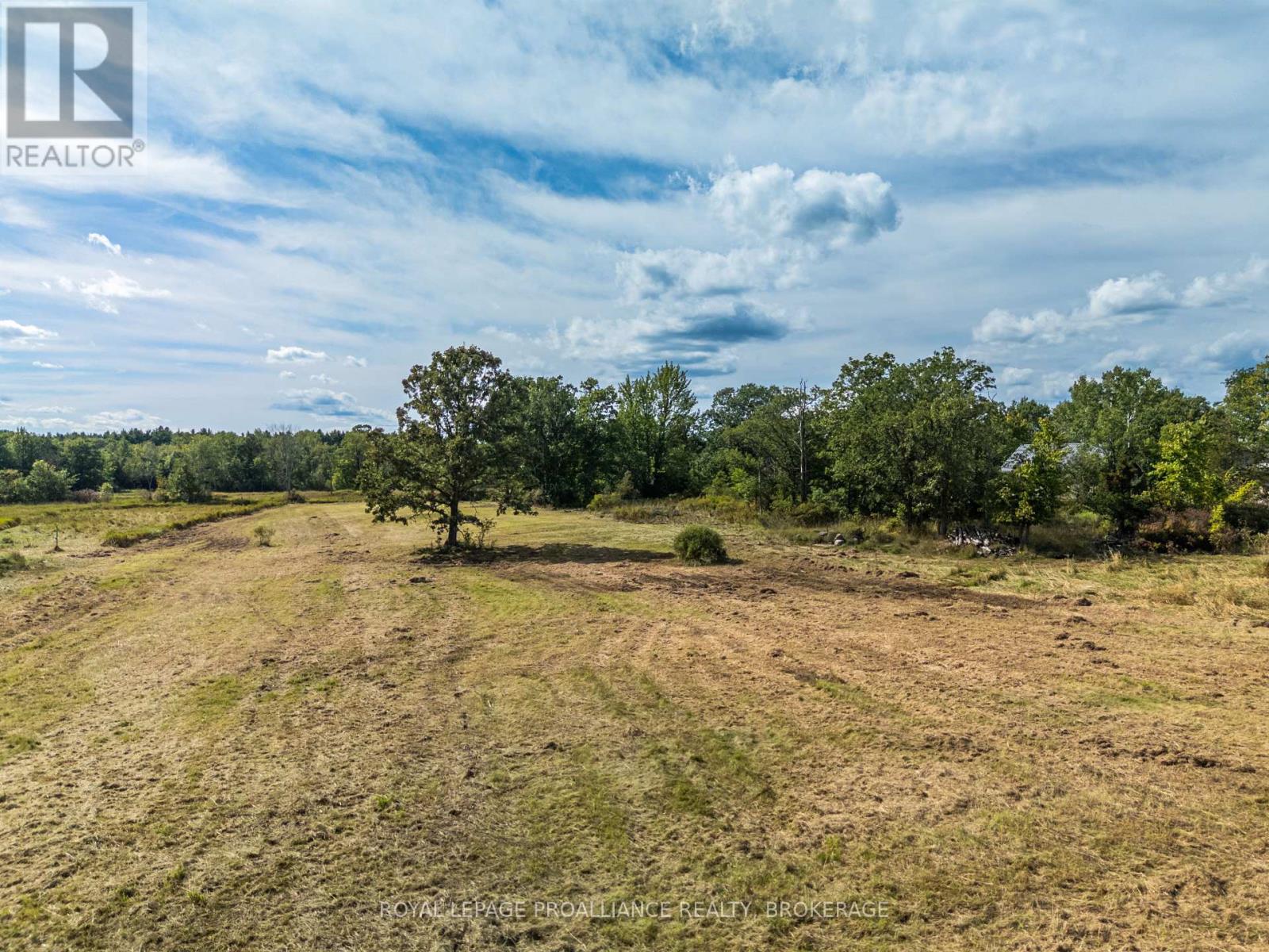 Lot 16 Snider Road, Frontenac, Ontario  K0H 2W0 - Photo 6 - X13650484