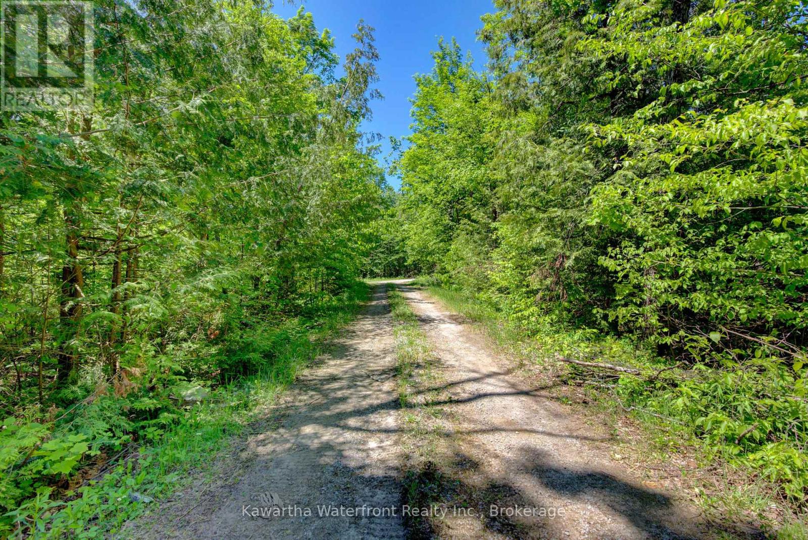 75 Beaver Drive, Kawartha Lakes, Ontario  K0M 1K0 - Photo 10 - X13798358