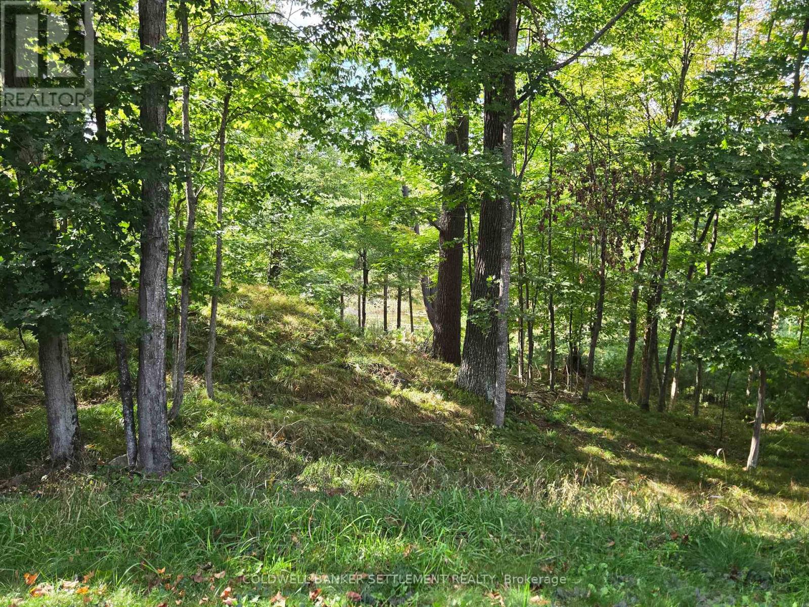254 Lakewood Road, Tay Valley, Ontario  K7H 3C5 - Photo 35 - X13798584