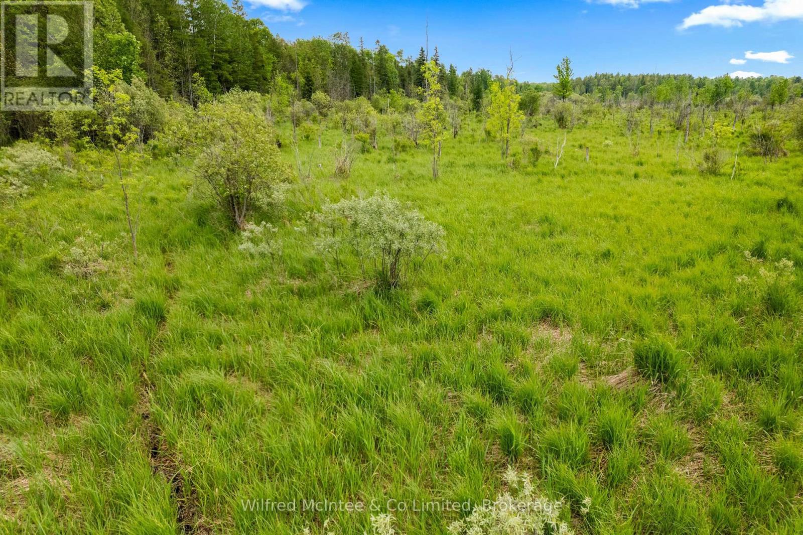 541503 Concession 14 Ndr, West Grey, Ontario  N0G 1L0 - Photo 41 - X13798392