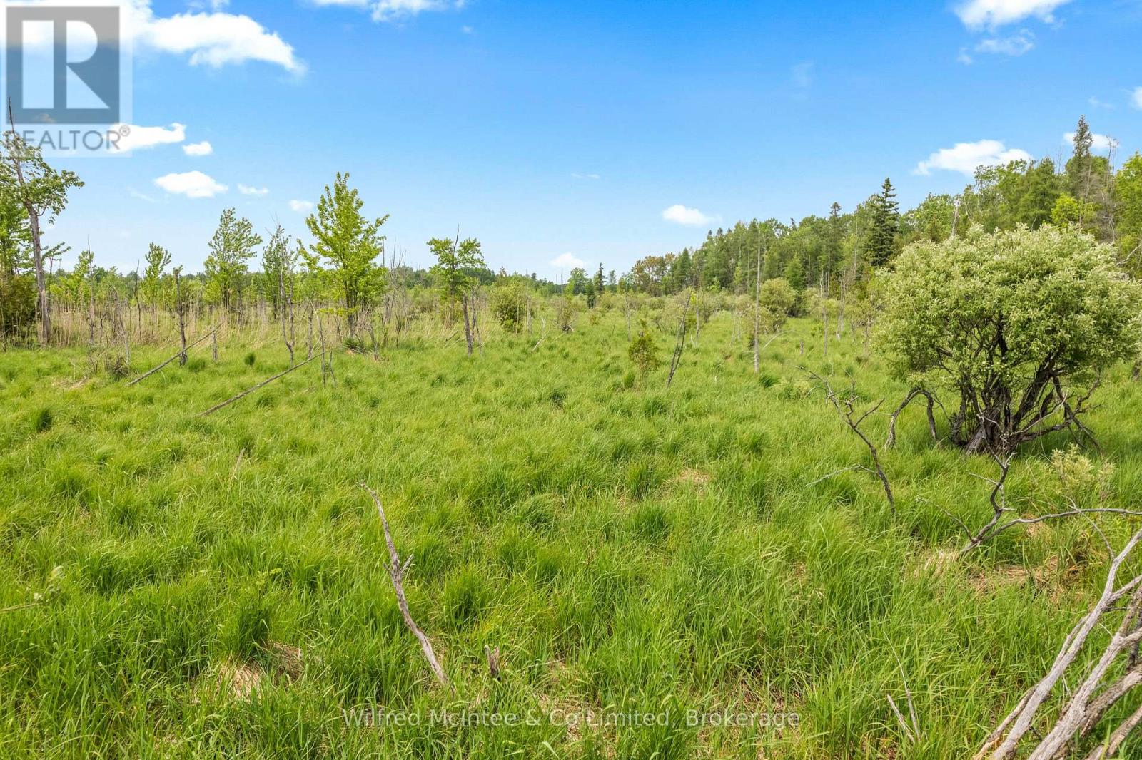541503 Concession 14 Ndr, West Grey, Ontario  N0G 1L0 - Photo 42 - X13798392