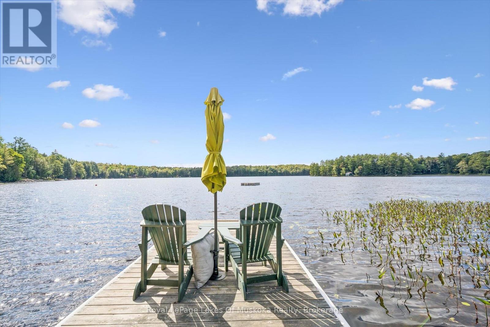 4 - 1044 Camel Lake Ext Road, Muskoka Lakes, Ontario  P1L 1X6 - Photo 37 - X13798640