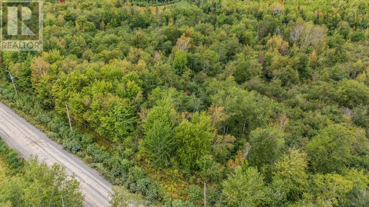 Lot H4 Lake Road, Mattatall Lake, Nova Scotia  B0K 1V0 - Photo 17 - 202623388