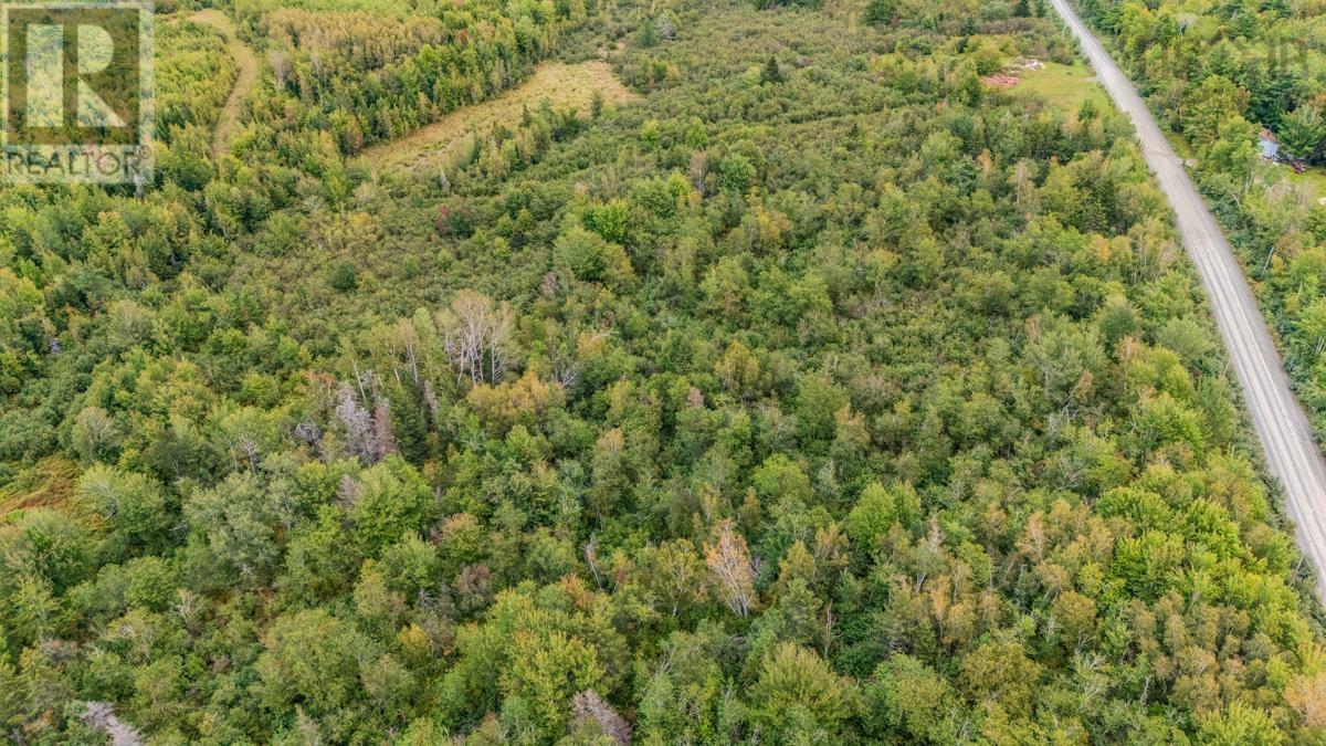 Lot H5 Lake Road, Mattatall Lake, Nova Scotia  B0K 1V0 - Photo 13 - 202623389