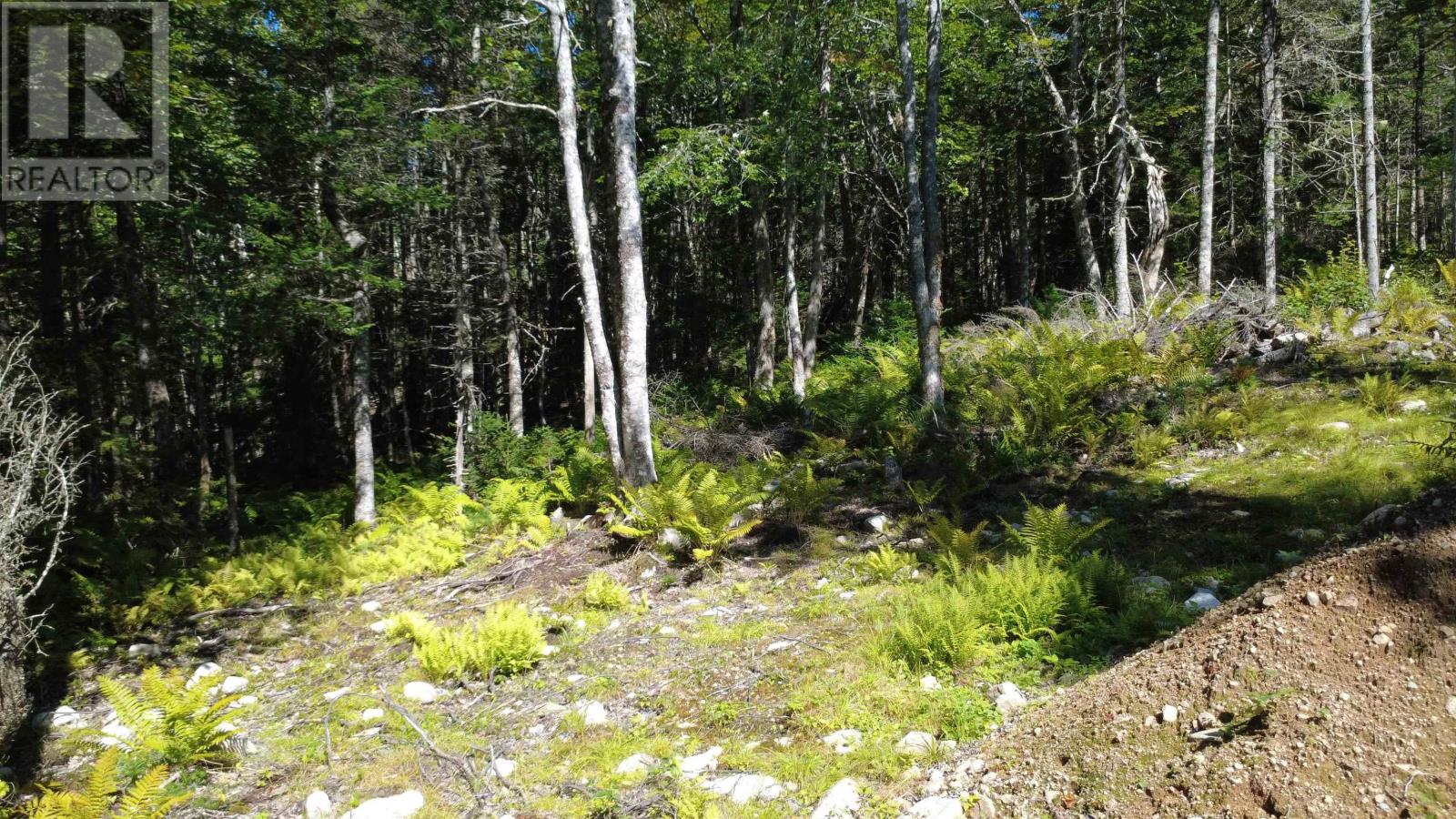 picture 40