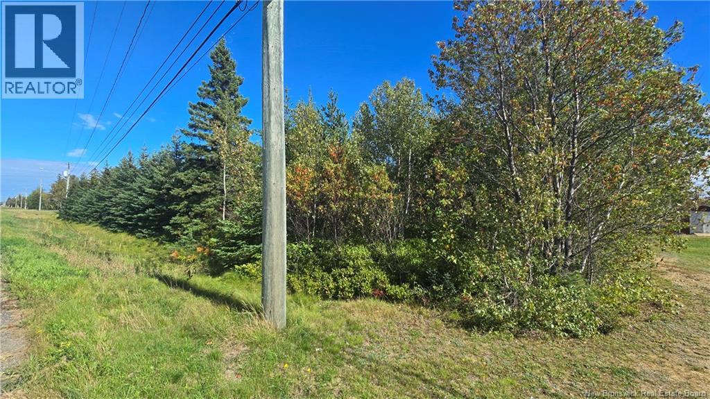 1.7 Acres Rte 11, Brantville, New Brunswick  E9H 2A8 - Photo 3 - NB148072