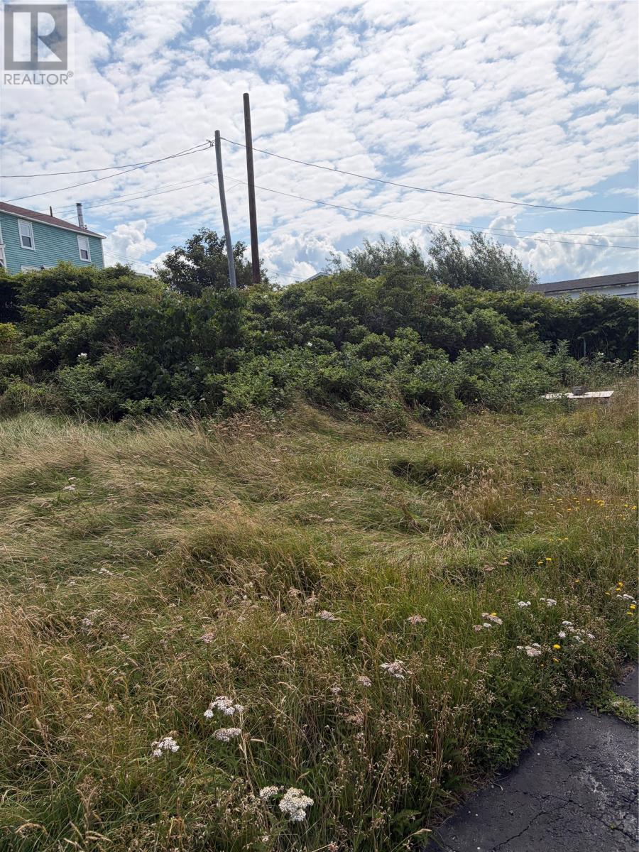16 Trembletts Hill, Bonavista — photo 20