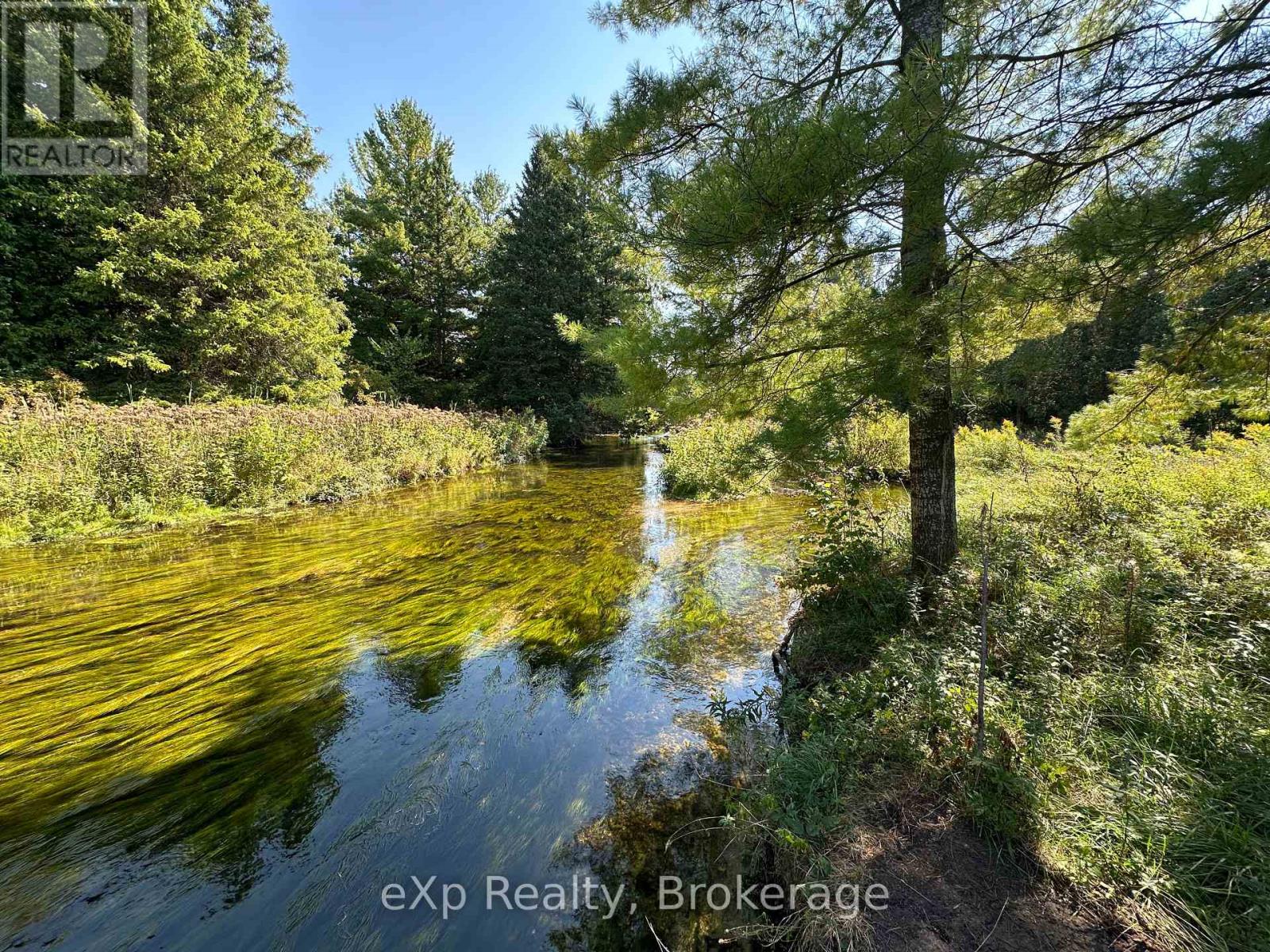 133272 Allan Park Road, West Grey, Ontario  N4N 3B8 - Photo 5 - X13802904