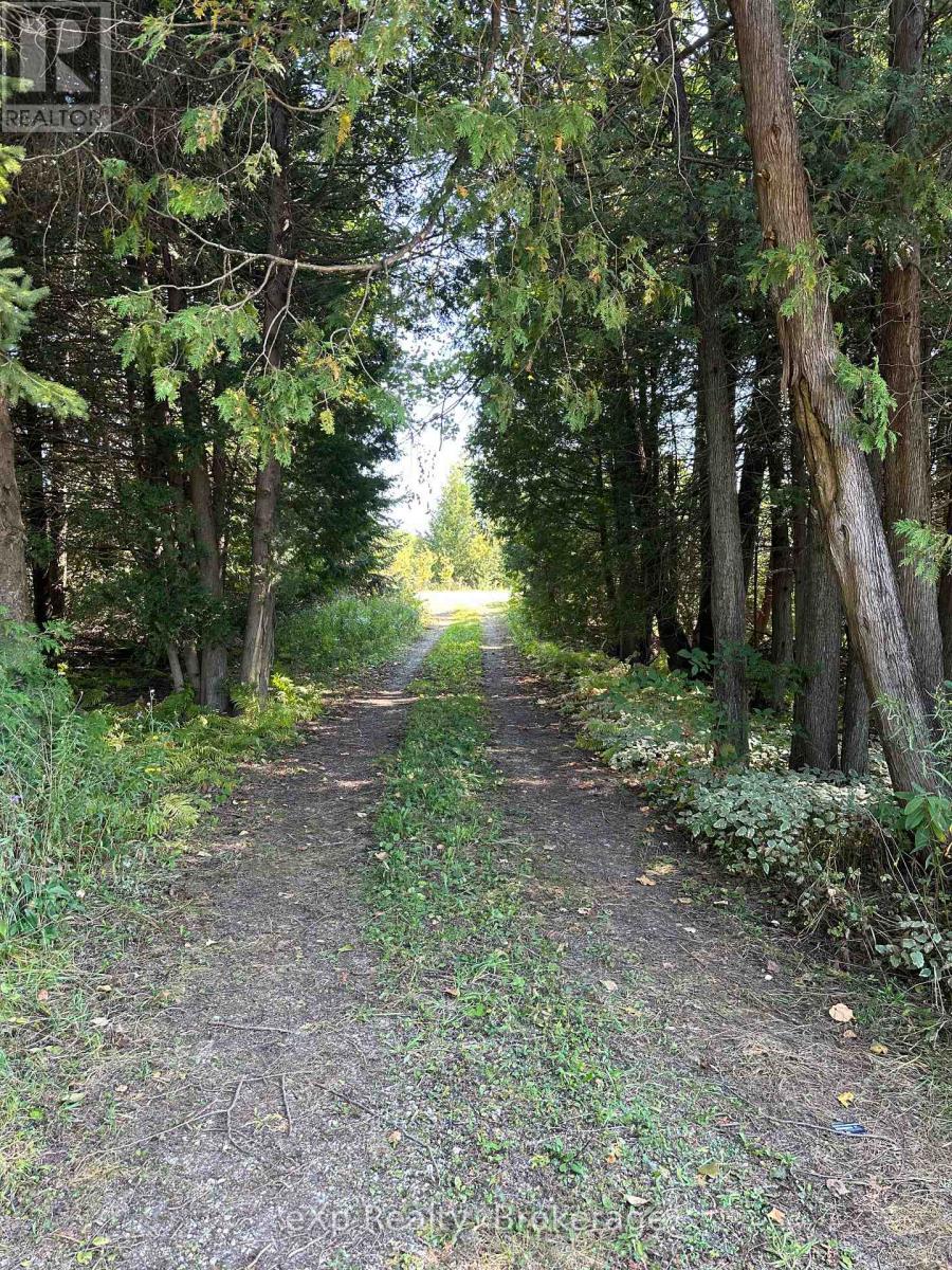 133272 Allan Park Road, West Grey, Ontario  N4N 3B8 - Photo 7 - X13802904
