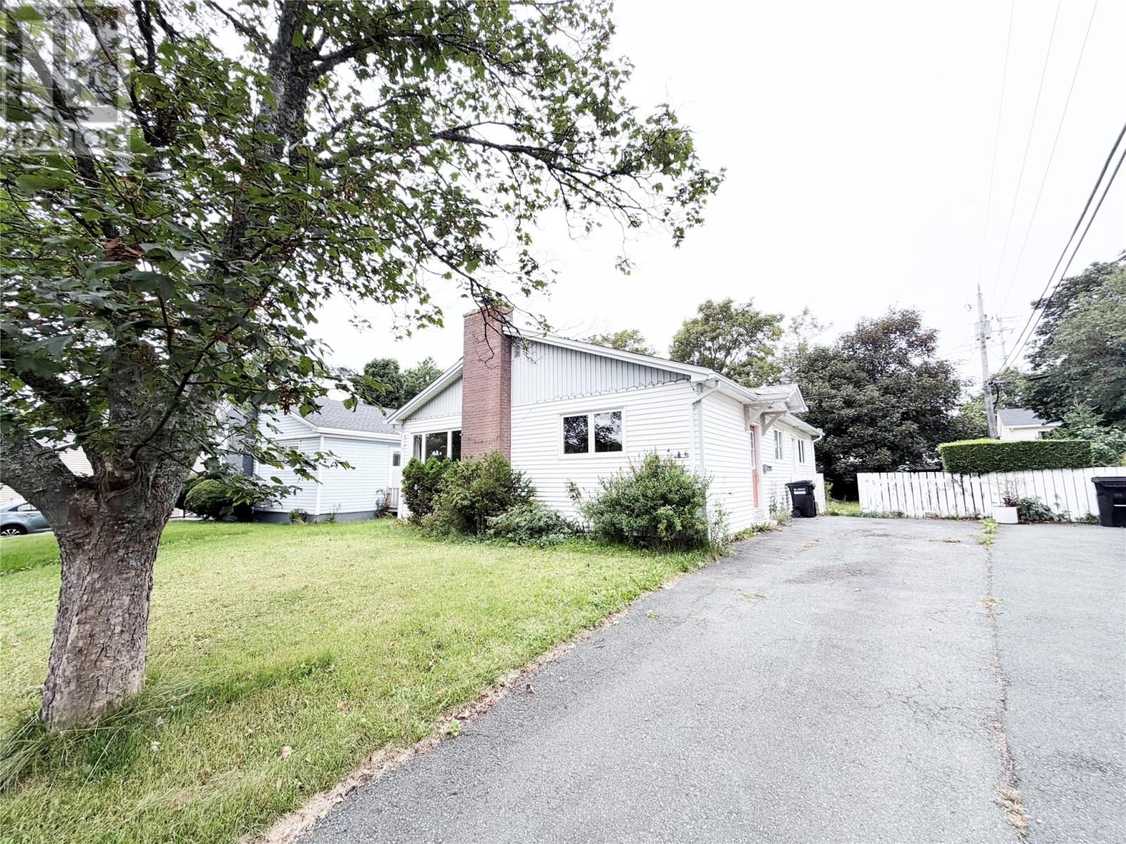6 Dorset Street, St.John's — photo 16