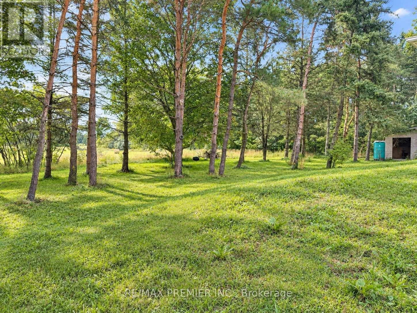 3350 18th Side Road, King, Ontario  L7B 0E7 - Photo 14 - N13802982