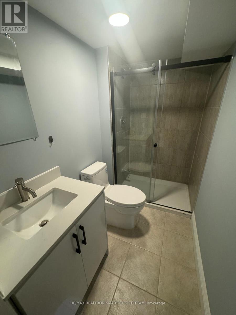 Bsmt - 243 Gord Clelland Gate, Newmarket, Ontario  L3X 0G1 - Photo 19 - N13803060