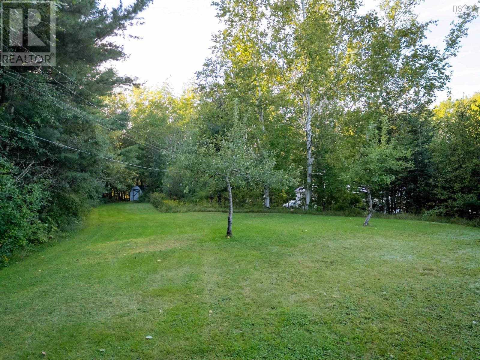 picture 29