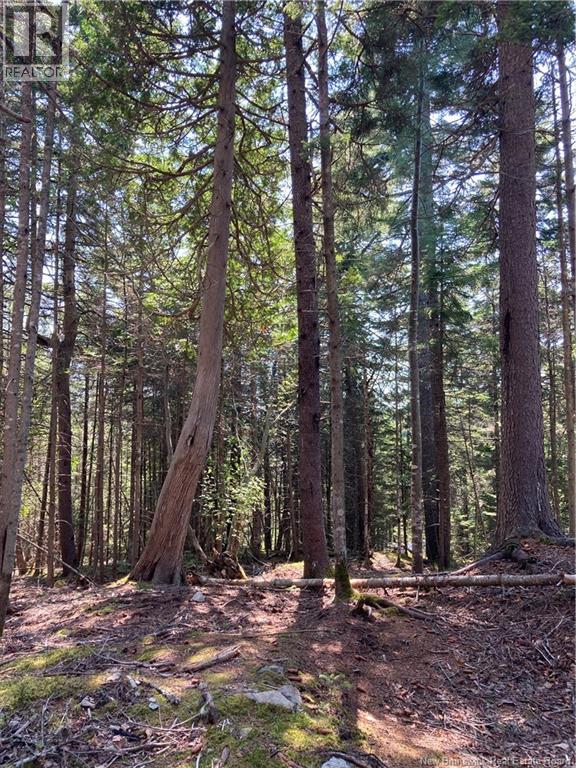 2063 Route 845, Summerville, New Brunswick  E5S 1H9 - Photo 12 - NB144876