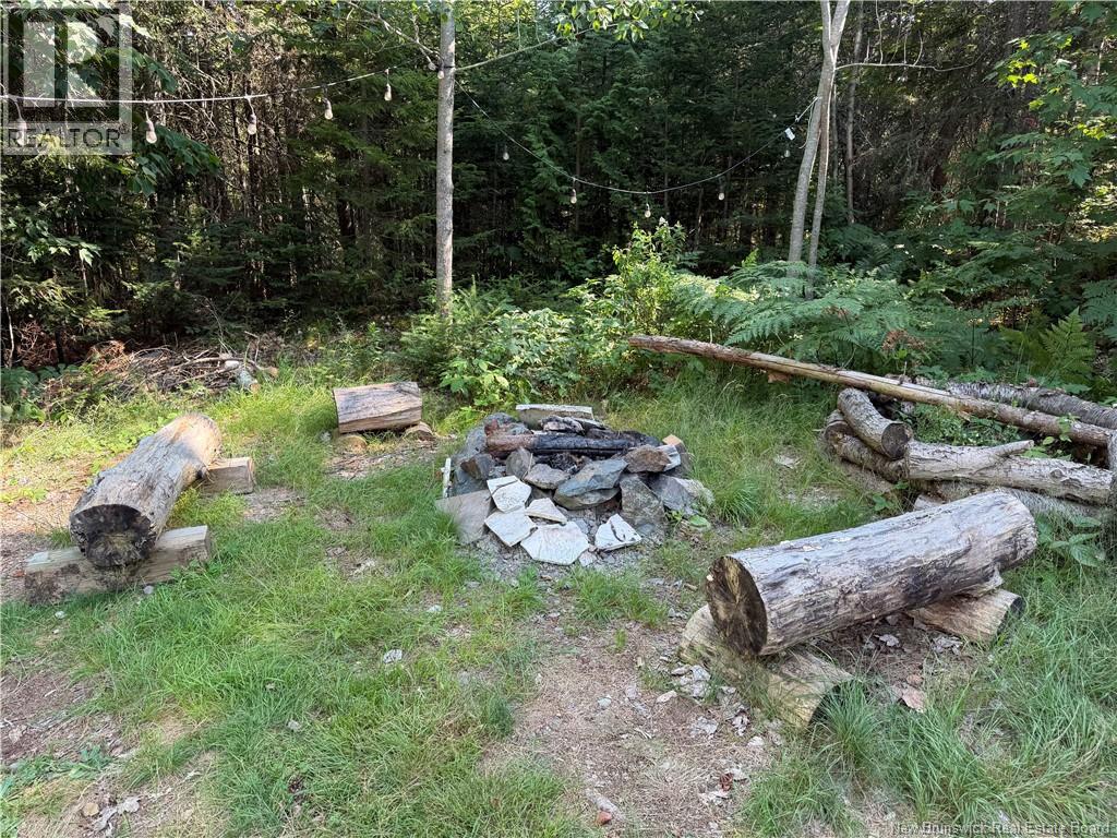 2063 Route 845, Summerville, New Brunswick  E5S 1H9 - Photo 11 - NB144876