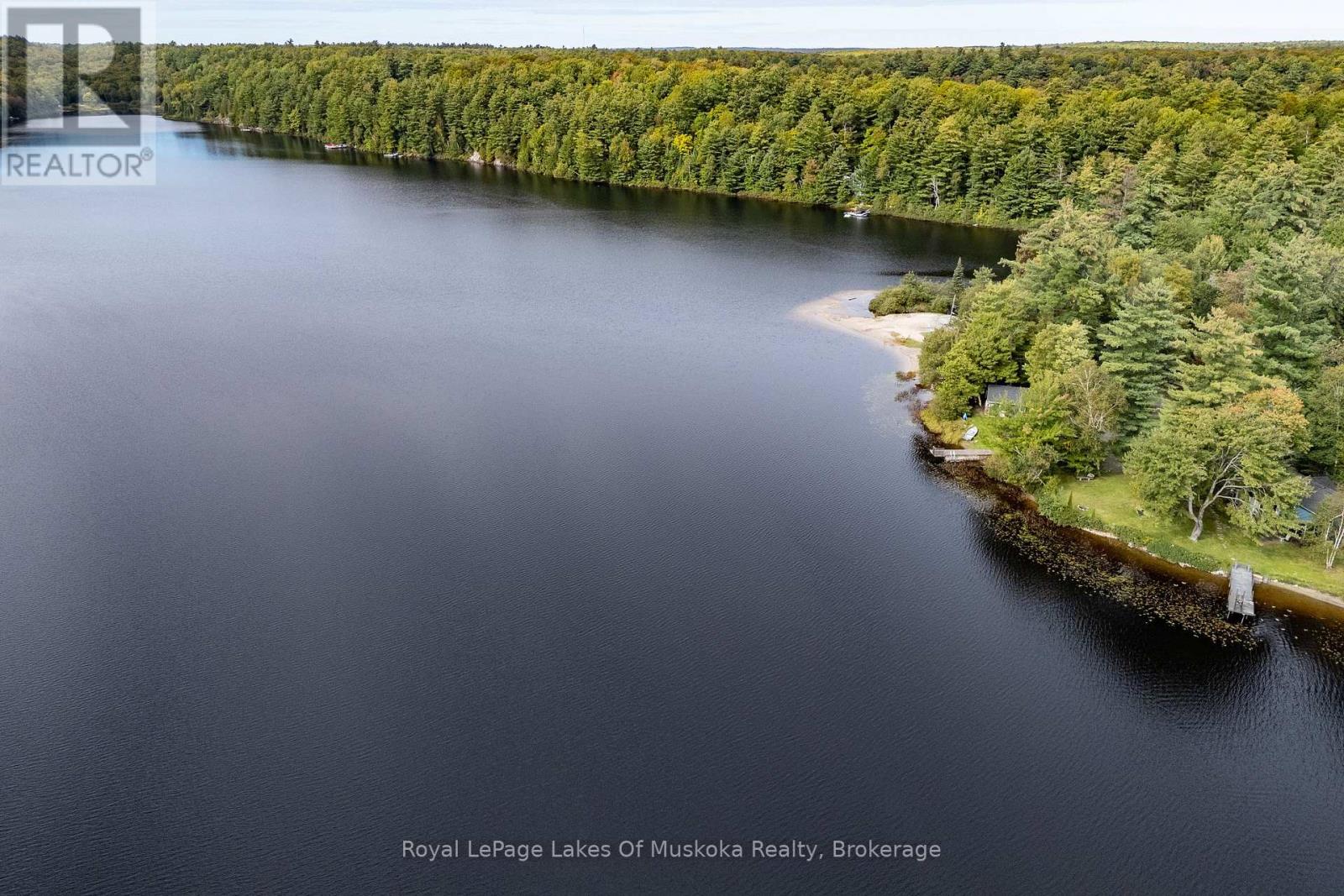 91 Beach Road, Huntsville, Ontario  P0B 1M0 - Photo 29 - X13803184
