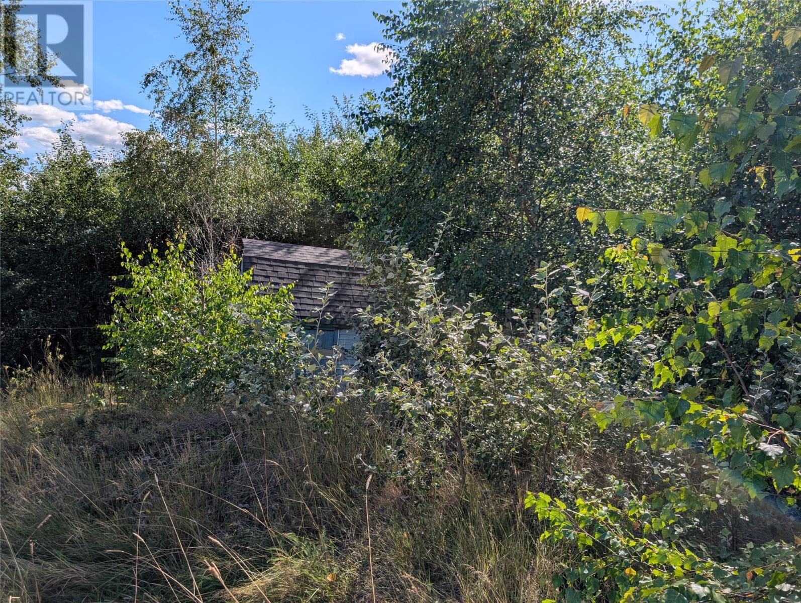 102 Marine Drive, Clarenville — photo 9