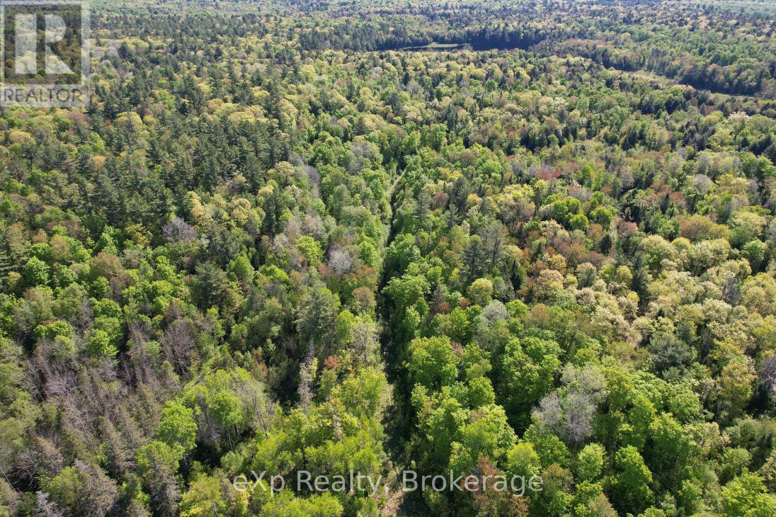 417 Centre Road, Mckellar, Ontario  P0G 1C0 - Photo 2 - X13803414