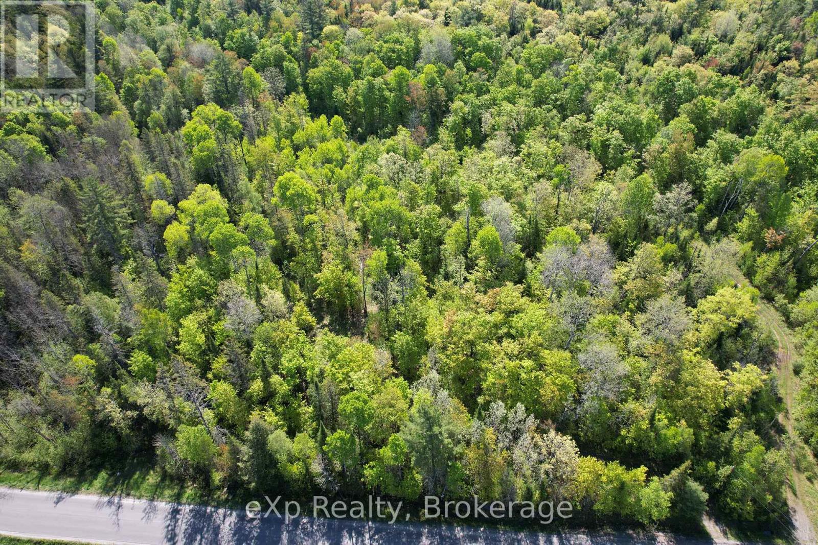417 Centre Road, Mckellar, Ontario  P0G 1C0 - Photo 3 - X13803414
