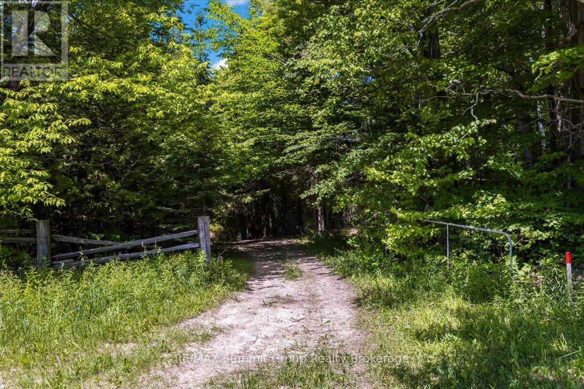 325719 Durham Road B, Grey Highlands, Ontario  N0C 1K0 - Photo 40 - X13803462