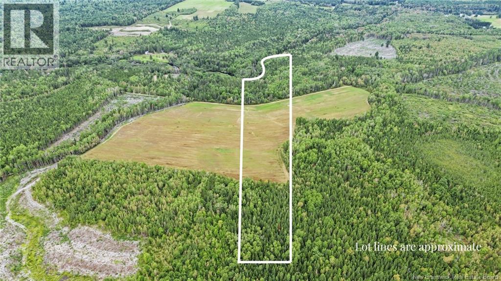 Lot Ch Des Heberts, Acadieville, New Brunswick  E4Y 1Y3 - Photo 1 - NB148069