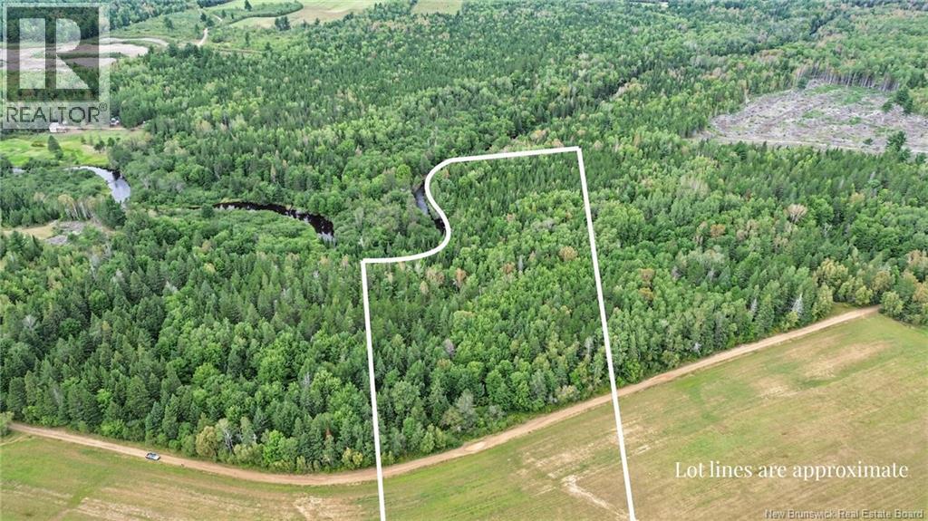 Lot Ch Des Heberts, Acadieville, New Brunswick  E4Y 1Y3 - Photo 4 - NB148069